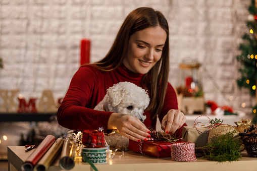 Portrait of happy young woman sitting on the living room floor, her cute dog sitting in her lap, and decorating various Christmas presents for loved ones.