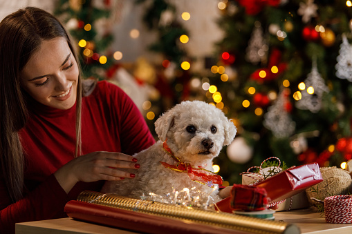 Portrait of cheerful young woman sitting by the Christmas tree, with her cute dog in her lap, decorating and wrapping various Christmas presents for loved ones.