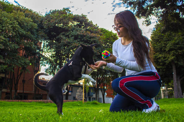 istock Young woman with dog in a park 1795685061