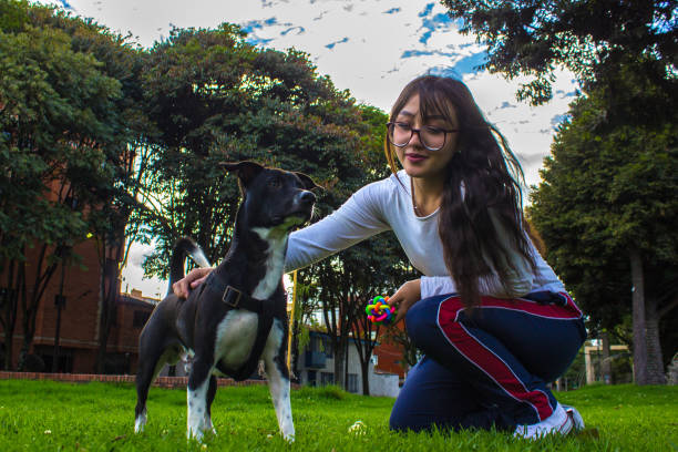 istock Young woman with dog in a park 1795685068