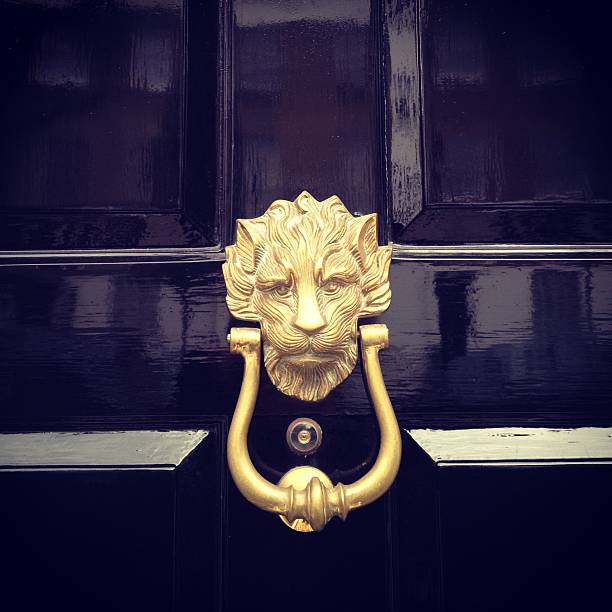 Metal lion door knocker
