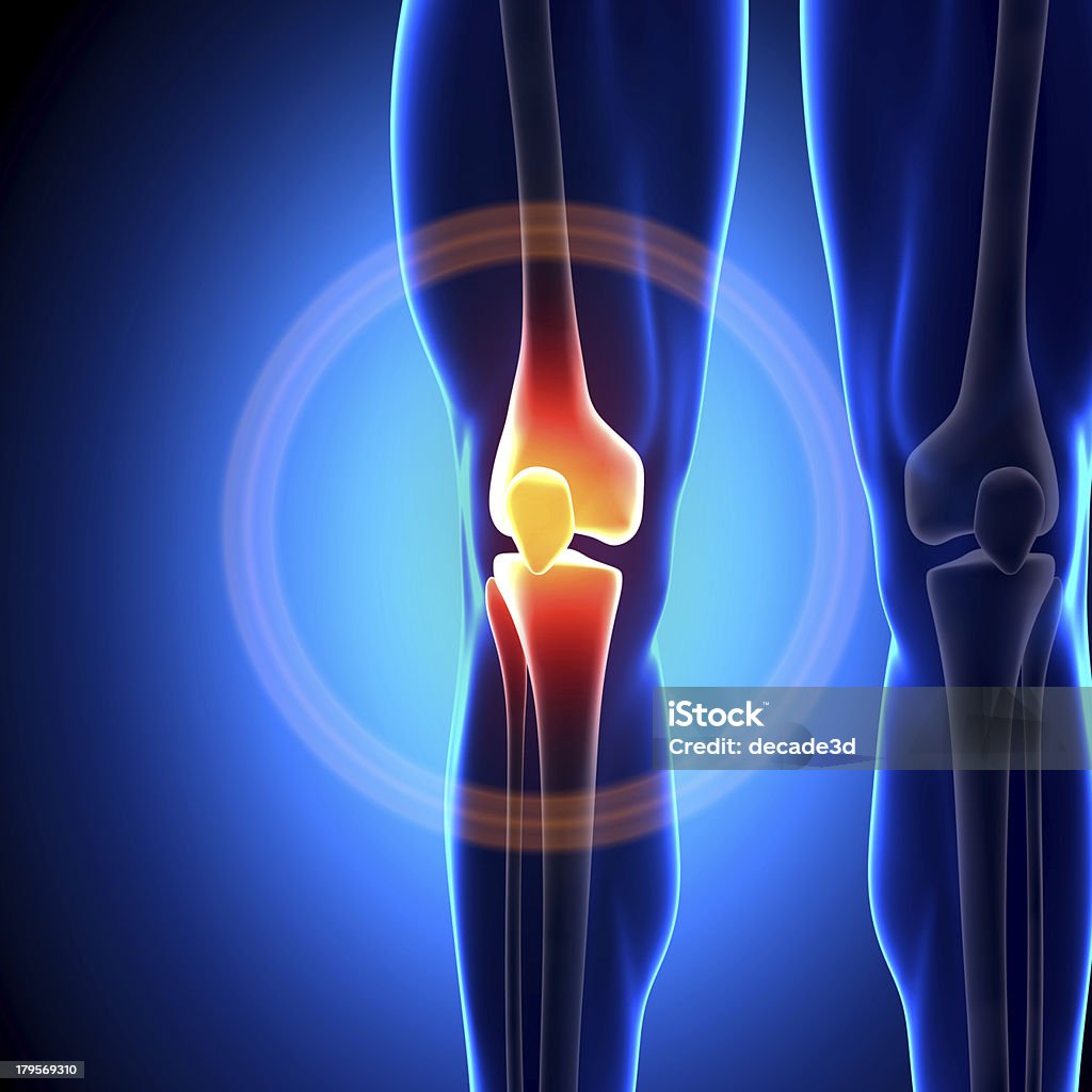 La articulación de la rodilla de anatomía los huesos - Foto de stock de Adulto libre de derechos