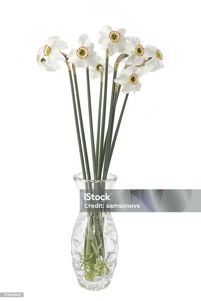 Narciso fiori in un vaso - Foto stock royalty-free di Bellezza naturale