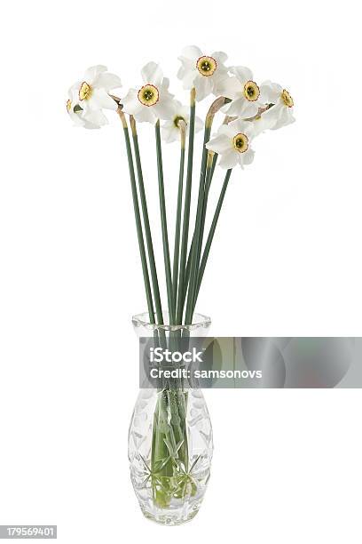 Narciso Fiori In Un Vaso - Fotografie stock e altre immagini di Bellezza naturale - Bellezza naturale, Bouquet, Capolino