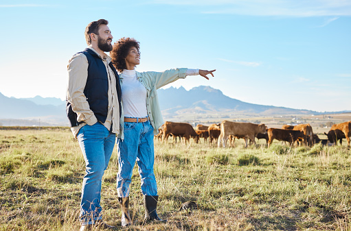 Nature, cows and couple standing on farm for sustainable, agriculture or organic livestock maintenance. Agro, farming and eco friendly interracial man and woman by field with cattle in countryside.