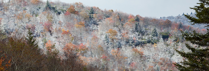 Frosty Autumn Scene in Pisgah National Forest near the Blue Ridge Parkway in North Carolina