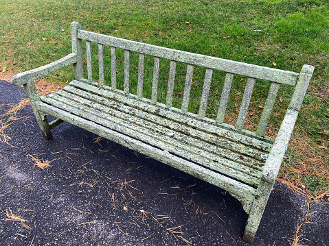 forged wooden bench in the city square in the park, green grass around and sidewalk with tiles. High quality photo