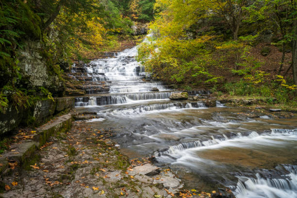A scenic view of the Taughannock Falls, the tallest free falling waterfalls in the North East in the Finger Lakes region of upstate New York.