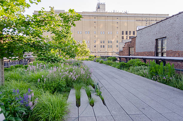 istock High Line Park, New York 179572826