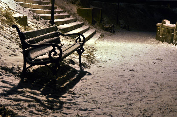 snow covered bench in the winter at night - 31973 imagens e fotografias de stock