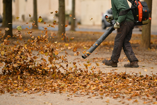 Man cleaning the park with a leaf blower