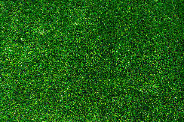 istock Background of a green grass 179575019