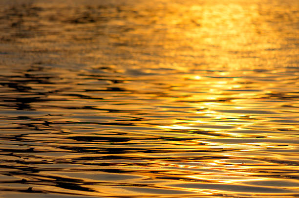 istock Waves of golden 179575191