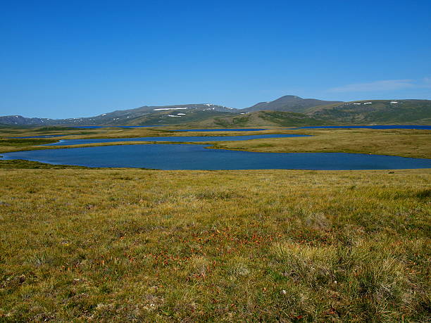istock Lakes of plateau Ukok 179575412