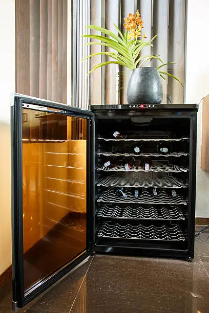 Wine cooler with multiple bottles