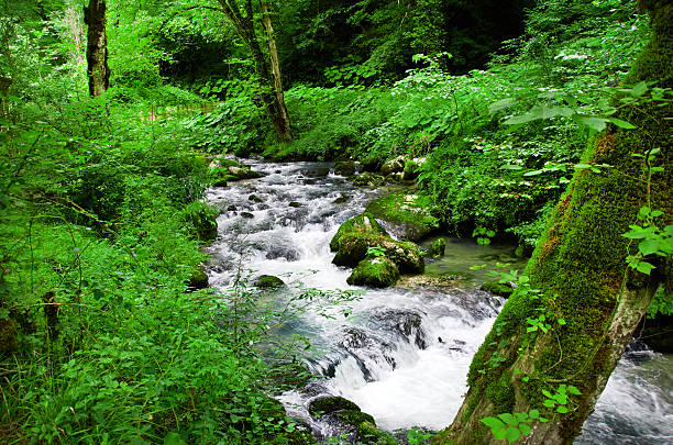 istock nice mountain stream with green stones 179576284