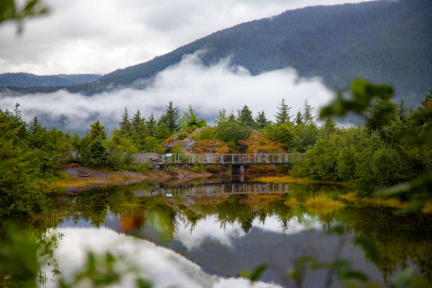 Idyllic landscape around Mendenhall Glacier
