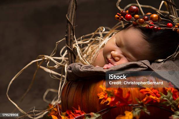 Neugeborene Baby Girl Leg Dich In Pumpkin Korb Stockfoto und mehr Bilder von Thanksgiving - Thanksgiving, Baby, Neugeborenes