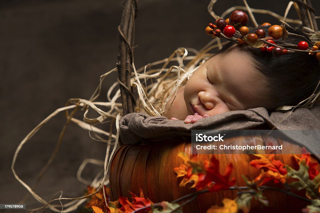 Menina de bebê recém-nascido colocar na cesta de abóbora - Foto de stock de Dia de Ação de Graças royalty-free