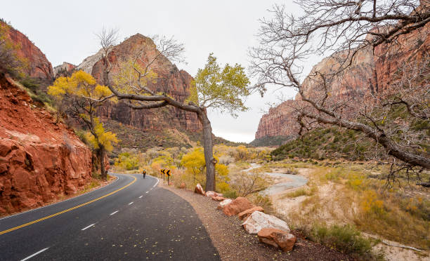 istock Biking in Zion National Park, Utah 1795806410