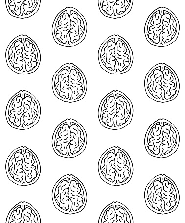 Vector seamless pattern of hand drawn doodle sketch Walnut nut isolated on white background