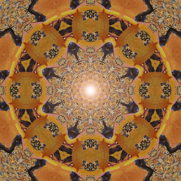 Autumn leaves kaleidoscope