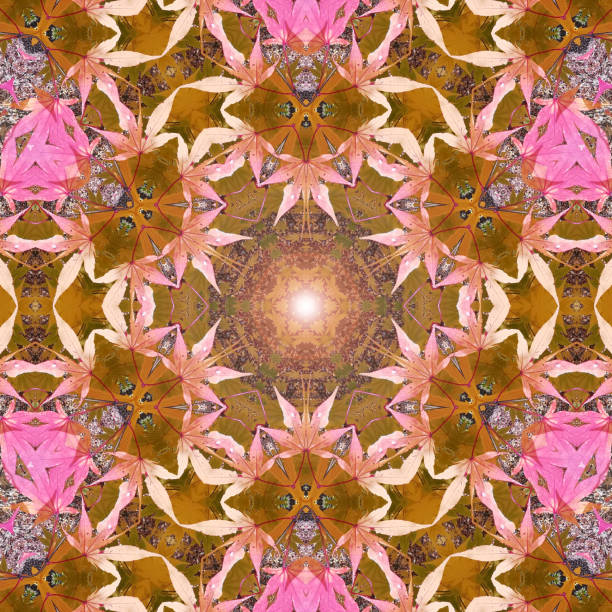 Autumn leaves kaleidoscope