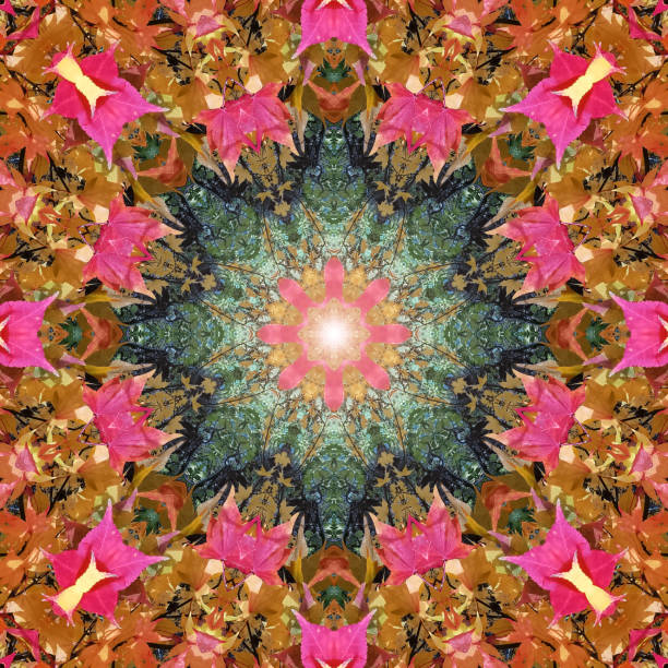 istock Autumn leaves kaleidoscope 1795852921