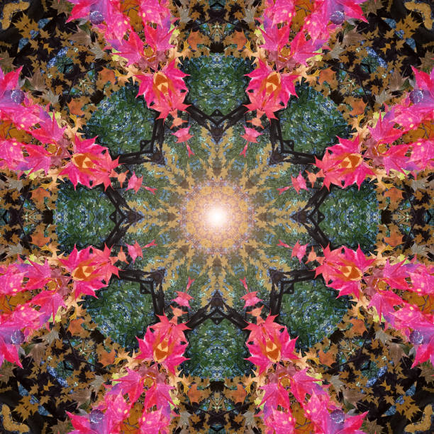 istock Autumn leaves kaleidoscope 1795852932
