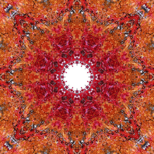 Autumn leaves kaleidoscope