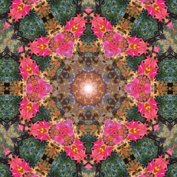 istock Autumn leaves kaleidoscope 1795853484