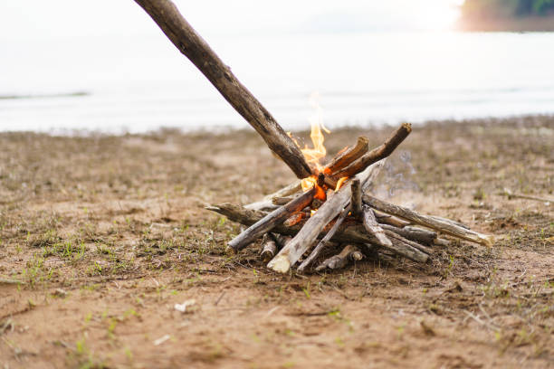 istock Burning firewood at camping site. 1795853498