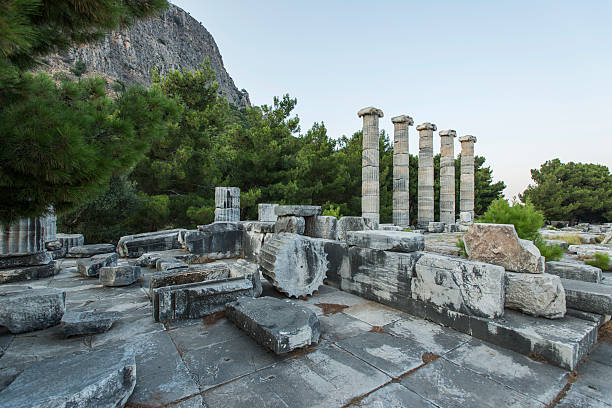 istock Columns of Priene 179585840