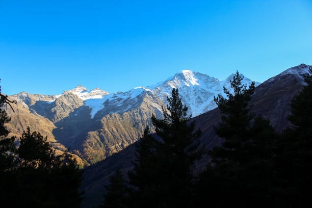 istock The view from the path through the mountain forest in Elbrus Region 1795883050