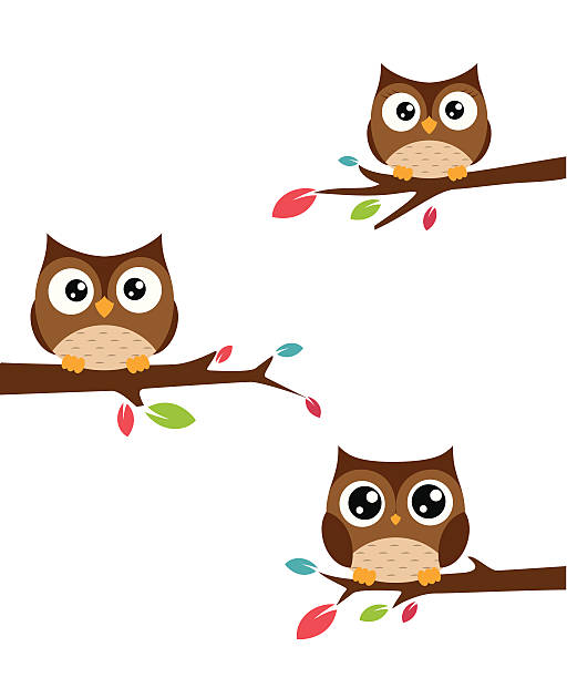 семейство owls сб on a tree branch - owl young animal bird mother stock illustrations