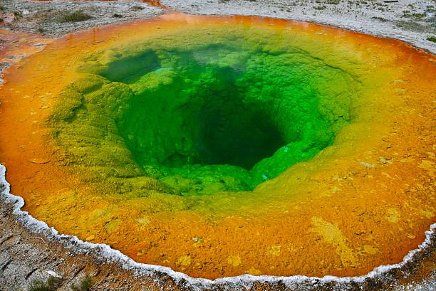 istock Colorful geyser hot spring in Yellowstone 179590159