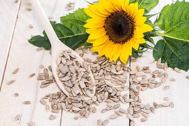 istock Heap of Sunflower Seeds 179591771