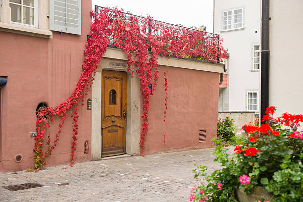 istock Red Vines Over Swiss Doorway 179592113