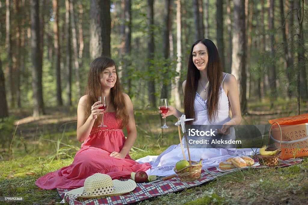 2 つの美しい女性のピク�ニック - グラスのロイヤリティフリーストックフォト