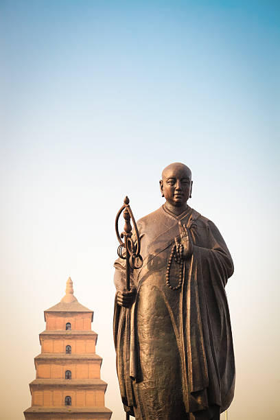 istock giant wild goose pagoda 179592973