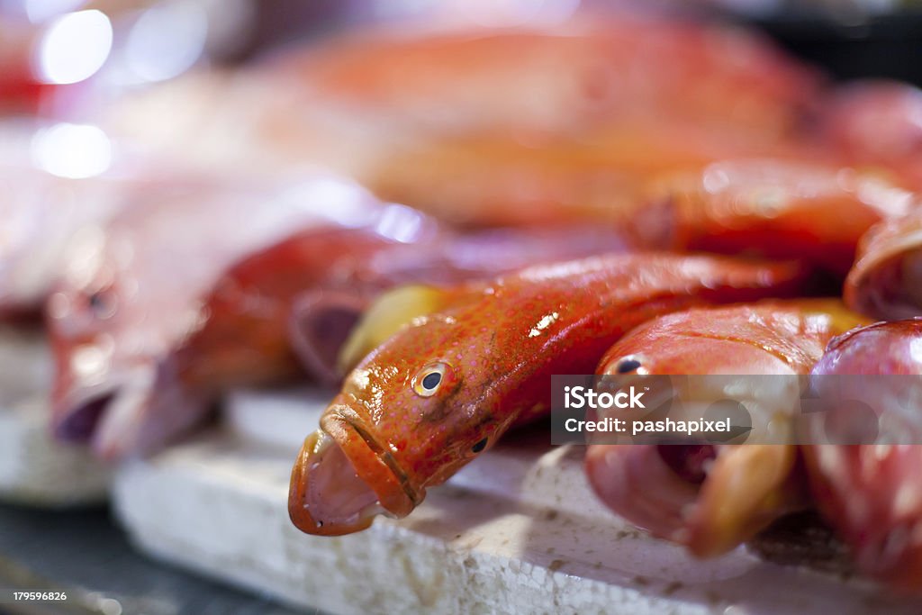 lapu-lapu, pargo, atum, frutos do mar no mercado - Foto de stock de Comida royalty-free