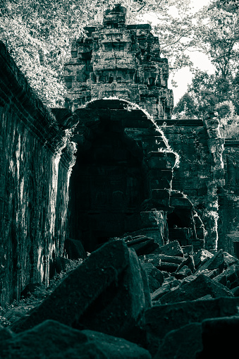 Late afternoon sunlight at Ta Prohm temple catches the outside edge of an arch.