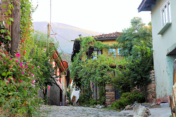 Historical cobblestone roads and Ottoman houses in Cumalikizik, Bursa - Turkey.