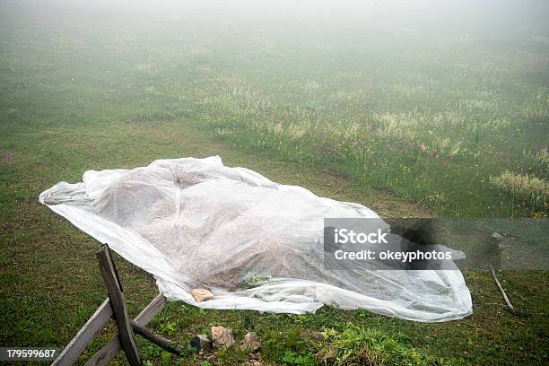 Foto de Fardos De Feno Em Branco Náilon e mais fotos de stock de Cobrindo - Cobrindo, Plástico, Agricultura