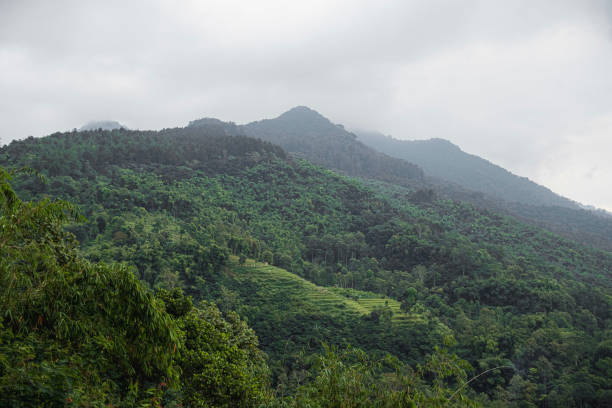 istock a very cool hill view in the morning supported by slightly cloudy weather 1796005747