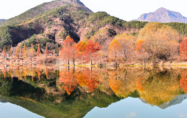 istock Autumn Reflection of Reservoirs 1796017856