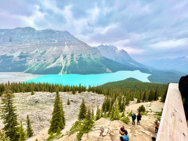 istock Peyto Lake, Alberta 1796034306