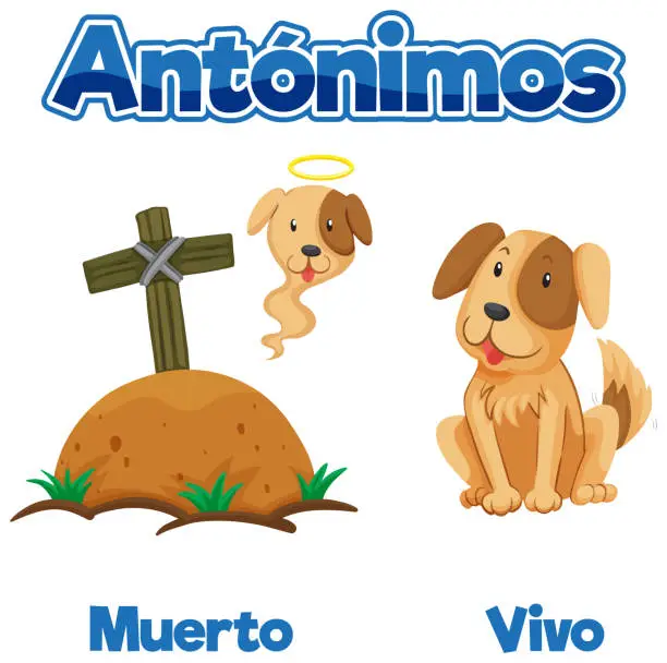 Vector illustration of Spanish Language Education: Muerto and Vivo - Dead and Alive