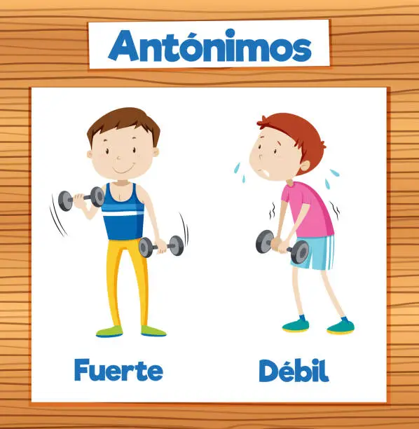 Vector illustration of Spanish Language Education: Strong and Weak in Cartoon Style