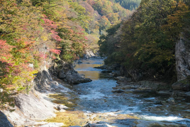 Suwa Gorge, where the Tone River flows through and the autumn leaves have advanced